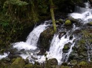 Waukeena Mult Falls 11.26.05 059 